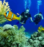Sharm El Sheikh: Learn Scuba Diving Course for Beginners