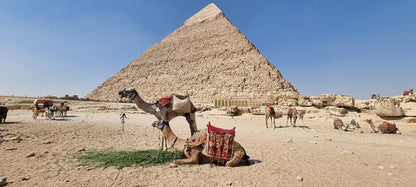 Kairo: Halvdagstur til pyramidene i Giza og sfinksen