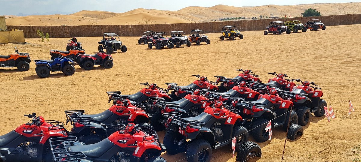 Dubai: Safari de meio dia no deserto, passeio nas dunas, sandboard e passeio de camelo
