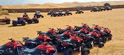 Dubai: Safari de meio dia no deserto, passeio nas dunas, sandboard e passeio de camelo