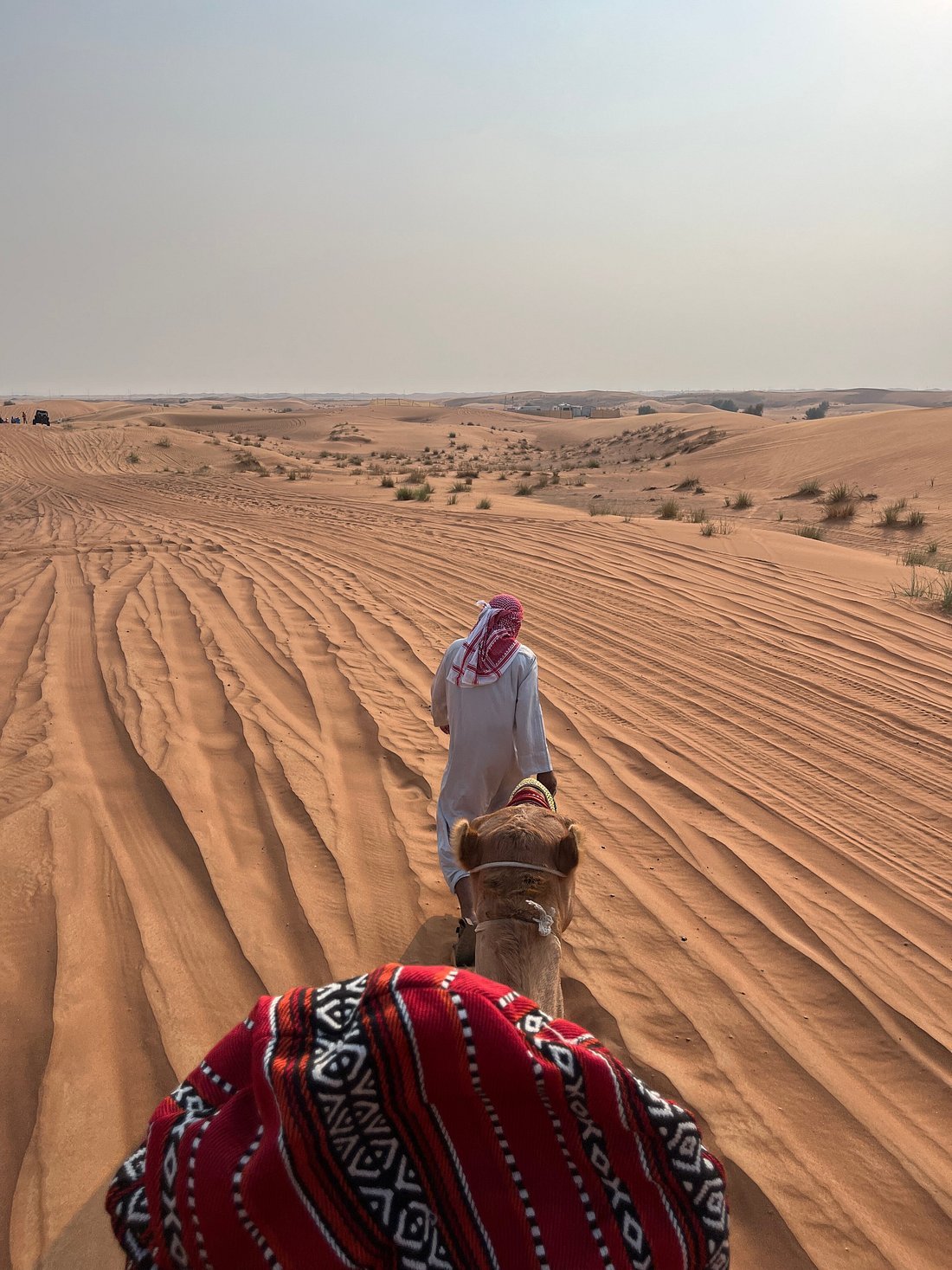 Dubai: Safari de meio dia no deserto, passeio nas dunas, sandboard e passeio de camelo