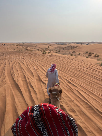 Dubai: Safari de meio dia no deserto, passeio nas dunas, sandboard e passeio de camelo