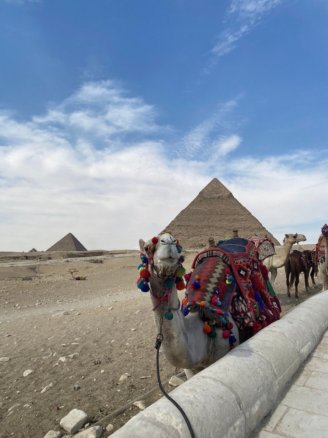 Cairo: Pirâmides de Gizé, Esfinge, Saqqara e Memphis Tour
