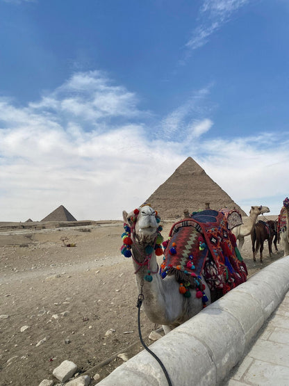 Cairo: Pirâmides de Gizé, Esfinge, Saqqara e Memphis Tour