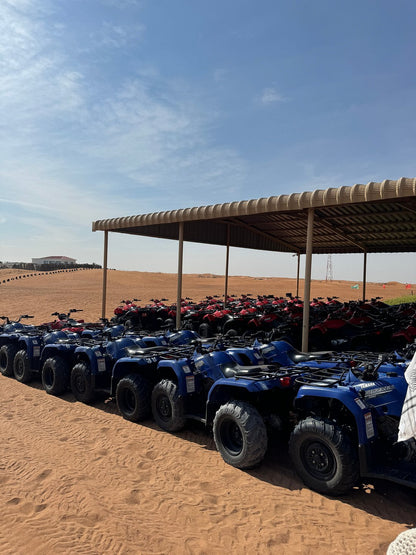 Dubai: Safari de meio dia no deserto, passeio nas dunas, sandboard e passeio de camelo