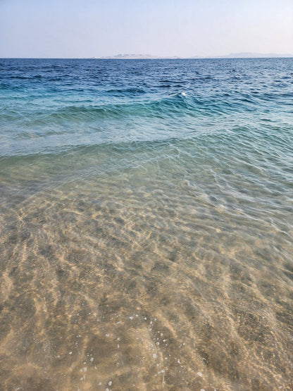 Doha : safari privé d'une demi-journée dans le désert, embarquement sur sable, balade à dos de chameau et visite de la mer intérieure