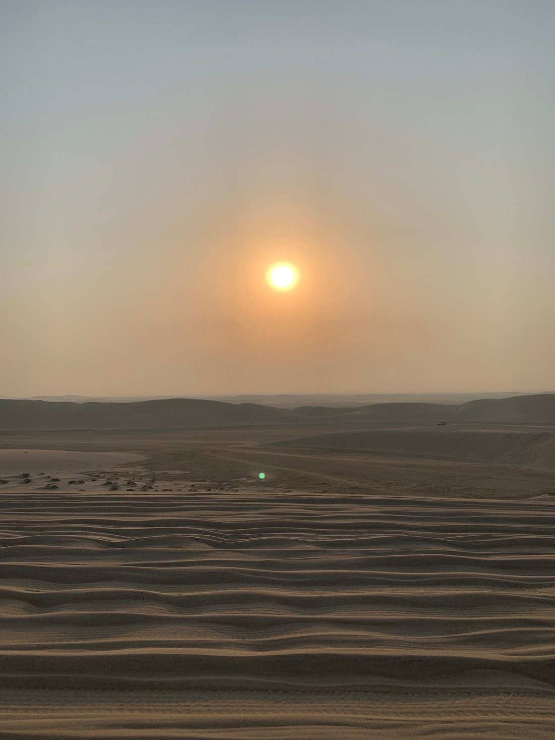 Doha : utilisation d'une journée dans un camp dans le désert, safari en option, sandboard et balade à dos de chameau
