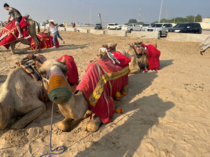 Doha: Desert Camp Day Use, Optional Safari, Sandboarding, and Camel Ride Tour