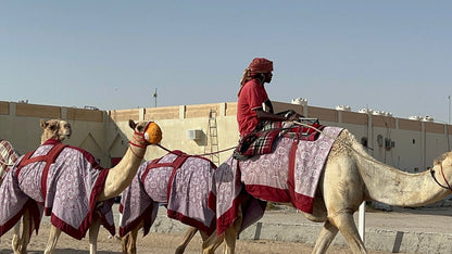 Doha: Richard Serra Sculpture, Mushroom Hills & Zekreet Fort Private Tour