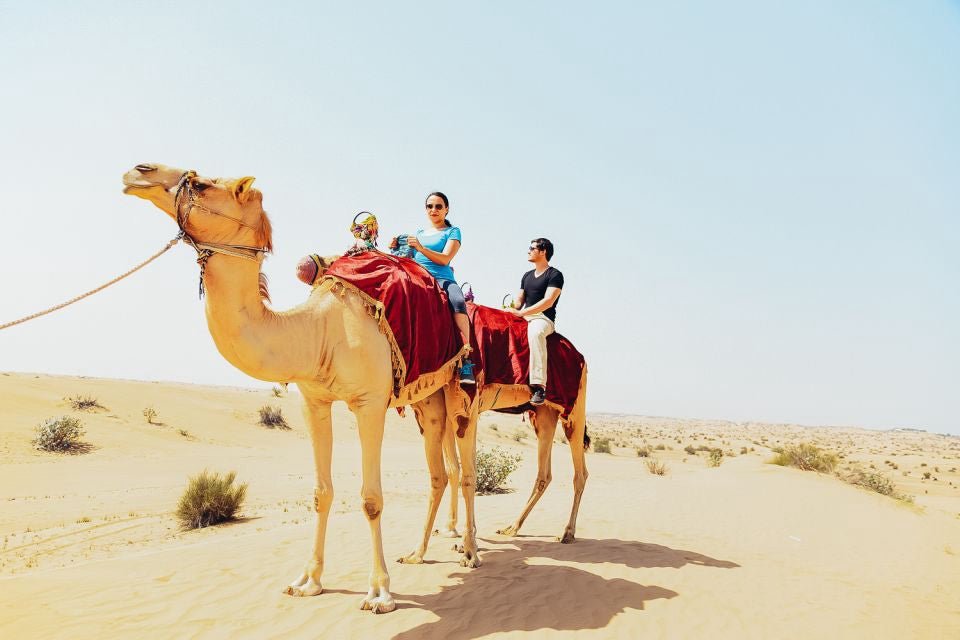 Doha: 4x4 Half - Day Desert Safari, Camel Ride, Sandboarding and Inland Sea Tour