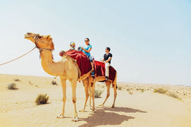 Doha: 4x4 Half - Day Desert Safari, Camel Ride, Sandboarding and Inland Sea Tour
