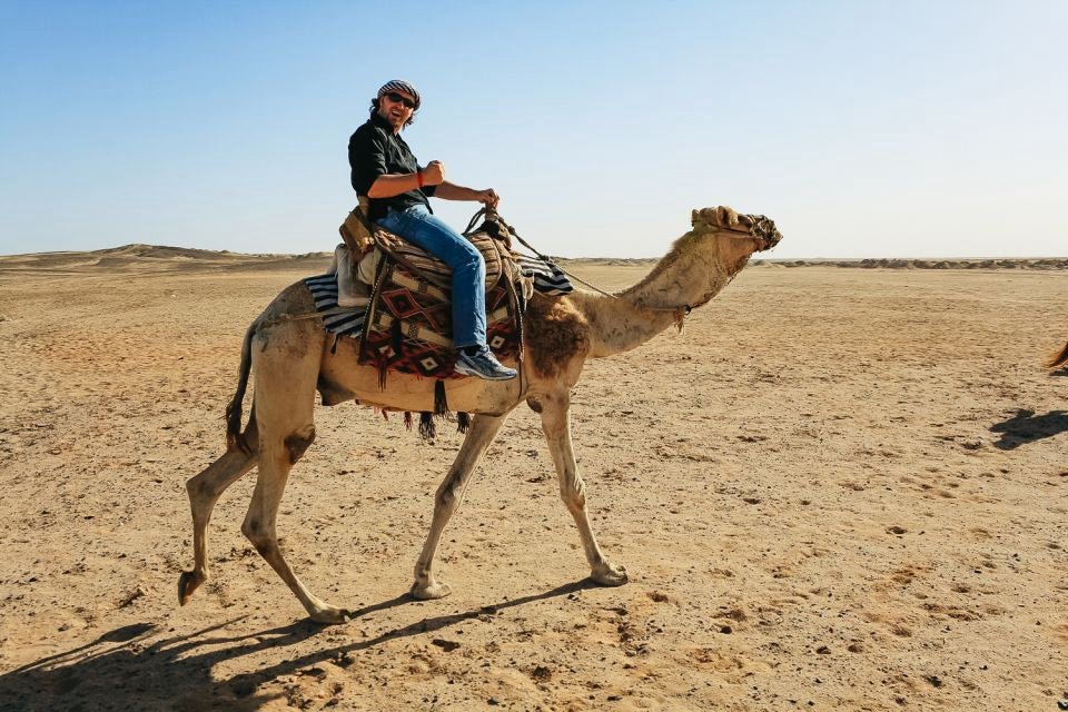 Doha: 4x4 Half - Day Desert Safari, Camel Ride, Sandboarding and Inland Sea Tour