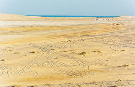 Doha: 4x4 Half - Day Desert Safari, Camel Ride, Sandboarding and Inland Sea Tour