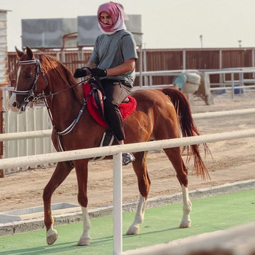 Doha: 4x4 Half - Day Private Desert Safari, Camel Ride, and Arabian Horse Ride