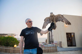 Doha: Al Majles Resort Camp Day Use with Optional BBQ Lunch or Dinner