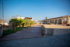 Doha: Al Majles Resort Camp Day Use with Optional BBQ Lunch or Dinner