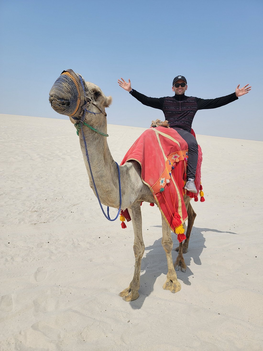 Doha : utilisation d'une journée dans un camp dans le désert, safari en option, sandboard et balade à dos de chameau