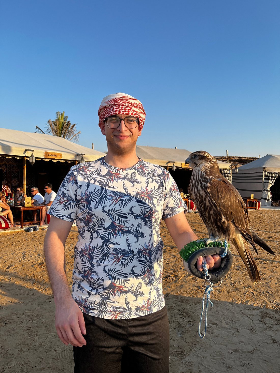 Dubai: Safari de meio dia no deserto, passeio nas dunas, sandboard e passeio de camelo