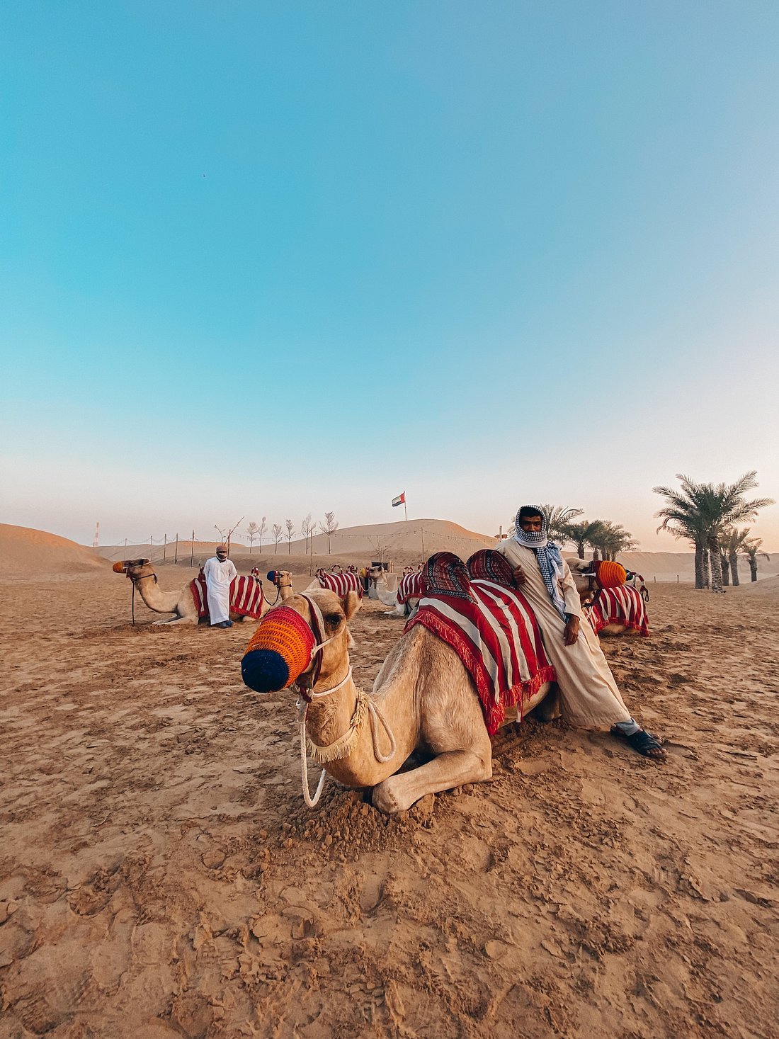 Dubai: Safari de meio dia no deserto, passeio nas dunas, sandboard e passeio de camelo