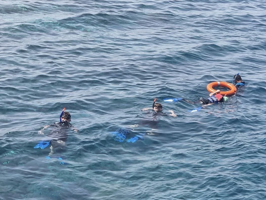 El Gouna: Dagstur for snorkling