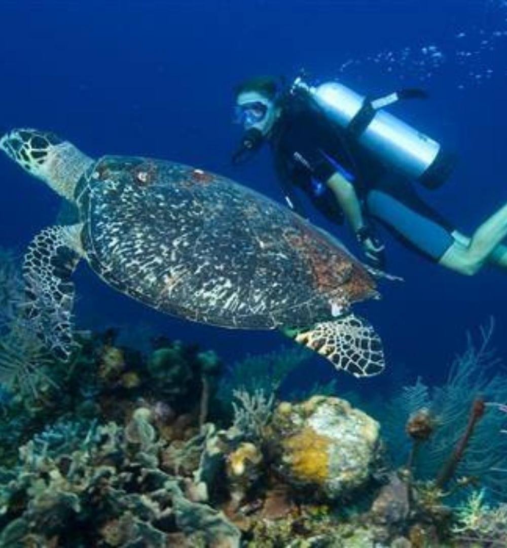 Sharm El Sheikh: Curso de Mergulhador