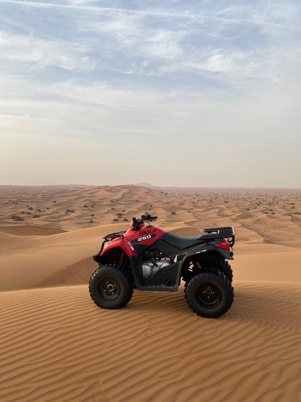 Dubai: Quad Bikes, Dune Buggy e ATV Desert Adventure